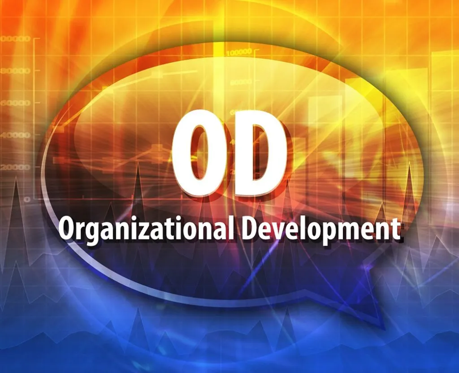 توسعه سازمانی